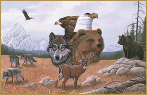 wolves, bears, eagles, hawk